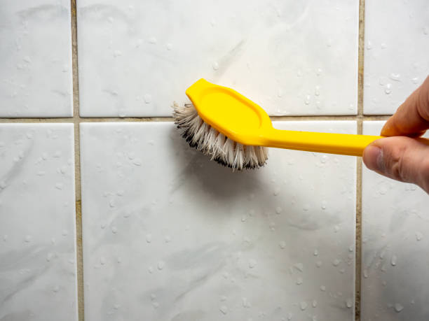 Trusted Englewood, CO Mold Removal Experts