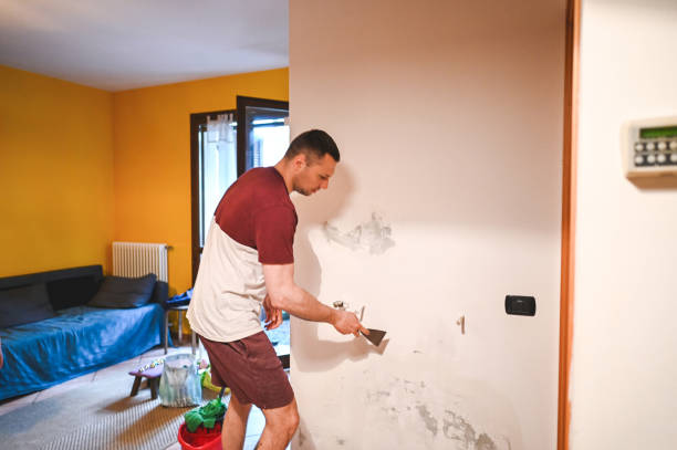Attic Mold Removal in Englewood, CO